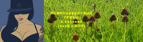 мяу мяу мука Арсеньев