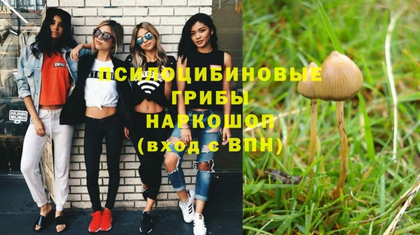 мдпв Армянск