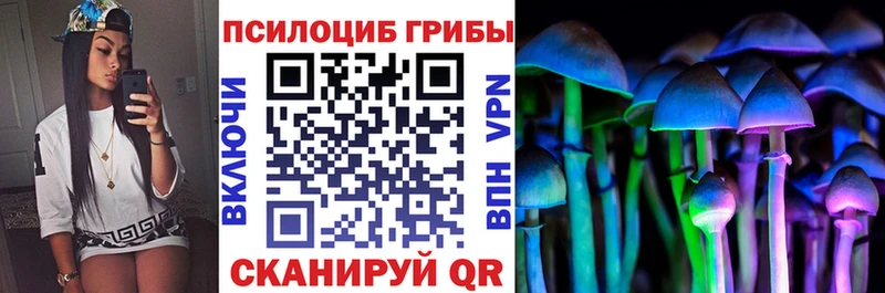 Псилоцибиновые грибы мицелий  кракен онион  shop клад  где купить наркотик  Верхнеуральск 